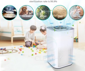 EPA CE FCC ISO Approve Ozone Air Purifier Air Cleaner For Home